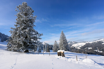 snowy winter landscape in the Bregenz Forest mountains neat Hittisau, Vorarlberg, Austria
