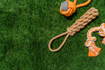 Set of orange rag and rubber toys for dogs on synthetic grass, layout, hard light