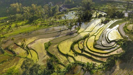 Beautiful landscape in Bali, Indonesia