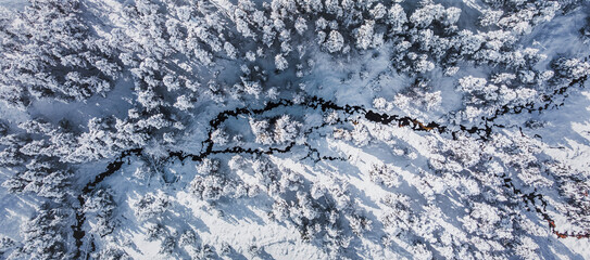 Panoramic aerial view of a mountain river in middle of snow covered trees and snowy forest on a winter day. Alpine landscape. Wintertime, vacations, travel, nature and tourism. Top down drone shot.
