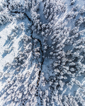 River covered covered by snow in middle of snowy forest trees on a winter day. Alpine landscape. Wintertime, vacations, travel, nature and tourism. Top down drone shot. Vertical photo.