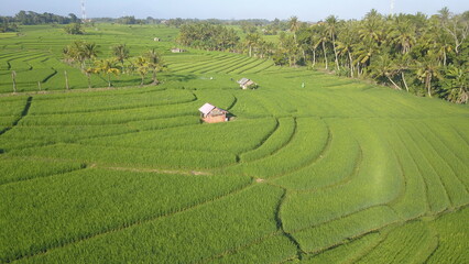 Beautiful landscape in Bali, Indonesia