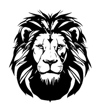 testa di leone 01