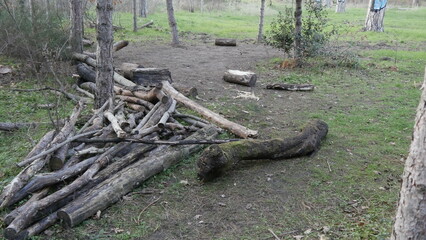 Tas de branches rassemblés, de bois coupés, dans une zone de nature, abandon, dégradation, stockage naturel, travaux urbain et problème écologique