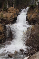 waterfall in the forest
