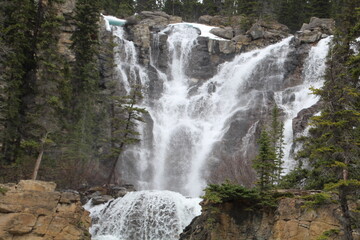 Tangle Falls, Jasper National Park, Alberta