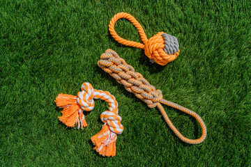 Set of orange rope and rubber toys for dogs on synthetic grass, layout, hard light