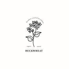Obraz premium Line art buckwheat branch illustration