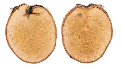 Wooden discs. Bark and wood structure.