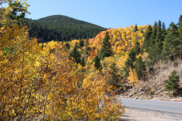 Fall Colors in Colorado along highway with red, orange and gold.