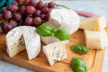 delicious blue brie blue cheese with grapes  on a wooden board
