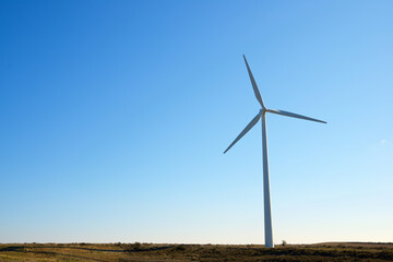 Wind turbine generator for renewable electricity production