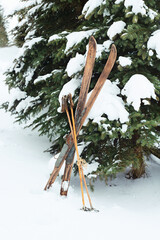 Wooden old fashioned skis and poles in the snow