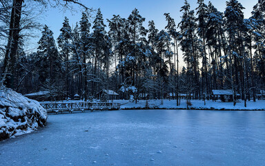 Winter landscape with frozen lake and pine trees.