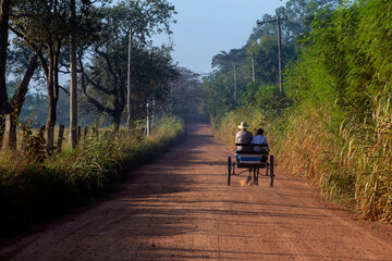 Wagon on the dirt road toward the horizon in countryside of Sao Paulo state, Brazil