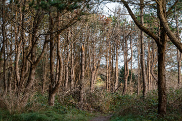 Ein Nachmittag im Dezember