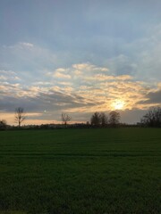 sunset over the field