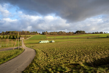 Möttlingen Landschaft