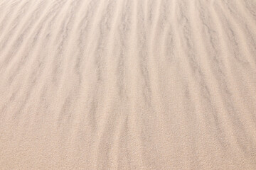 Fototapeta na wymiar Sand dunes on the beach as a background.