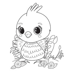 cartoon chick coloring book on white background, vector
