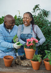 Senior african couple having fun gardening together outdoor