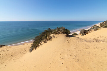 One of the most beautiful beaches in Spain, called (El Asperillo, Doñana, Huelva) in Spain.  Surrounded by dunes, vegetation and cliffs.  A gorgeous beach.