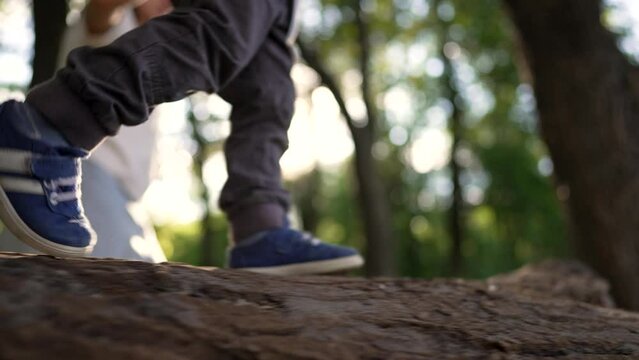 Little boy walk on log in park. child on log.Child in forest park walk in nature. Legs on log summer walk.Teamwork of children in forest park.Boy child in nature at sunset. Active recreation in forest