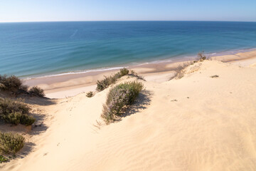 One of the most beautiful beaches in Spain, called (El Asperillo, Doñana, Huelva) in Spain.  Surrounded by dunes, vegetation and cliffs.  A gorgeous beach.