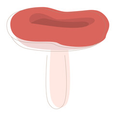 Russula mushroom. Edible Organic mushrooms. Truffle brown cap. Forest wild mushrooms types.