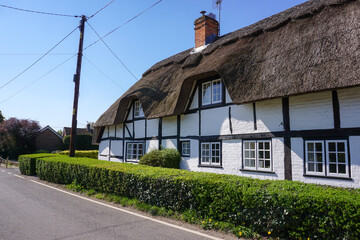 country cottage with straw thatched roof. Village home in rural location 