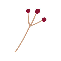 Vector flat cartoon style holly tree, berries on branch . Isolated illustration. Christmas cards, banners of presentation decoration design symbol. Vector illustration