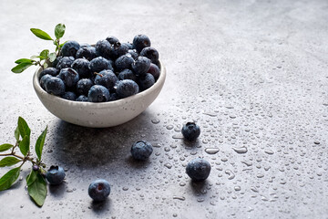 Fresh organic blueberries. Juicy ripe bilberry in white bowl on gray background. Antioxidant and healthy eating concept.