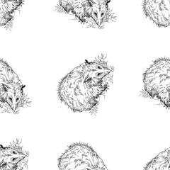 Seamless pattern of hand drawn sketch style Opossums isolated on white background. Vector illustration. - 568553368