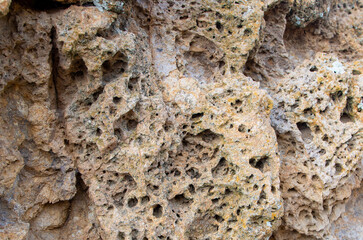 A close-up of a porous rock