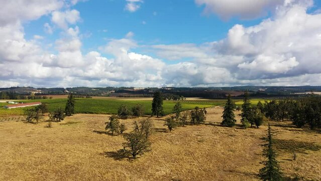 Vertical Rising Shot over Colorful Varied Farmland in Willamette Valley, Oregon near Silverton