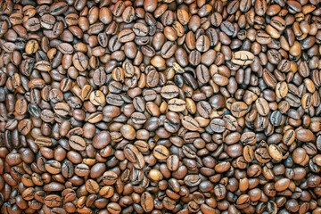 Arabica and Robusta coffee beans photophone