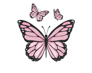 Obraz na płótnie Canvas butterfly on white background
