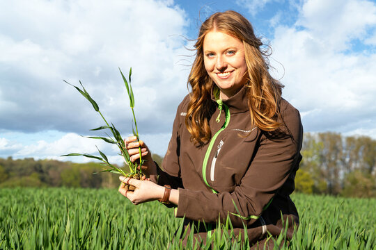 Junge Auszubildene in der Landwirtschaft freut sich über das gute Wachstum des jungen Getreides, welches sie in der Hand hält auf einen Getreideacker.
