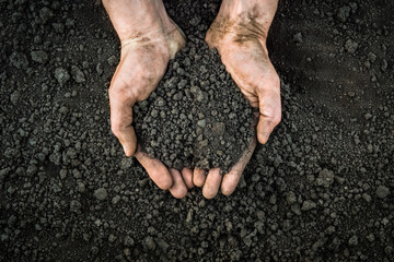 Farmer hands soil ground earth dirt garden soil farm ground dirt. Male hands full of fertile land field agriculture concept. Handful of dirt hands holding dark soil field organic earth garden. Closeup