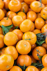 Fresh tangerines or mandarin, oranges fruit with leaves, citrus background.
