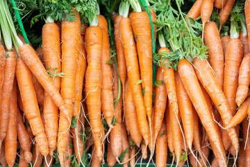 Background of root vegetables, pile of raw carrots for healthy eating.