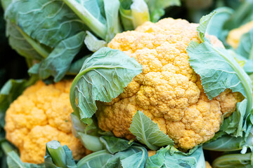 Yellow cauliflower with leaves on the market, vegetable background.