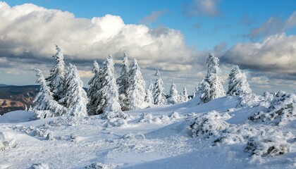 snowy forest on mountain, Jeseniky mountains