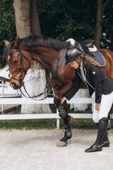 Female equestrian saddling horse. Professional woman preparing horse. Sports concept. Equestrian...