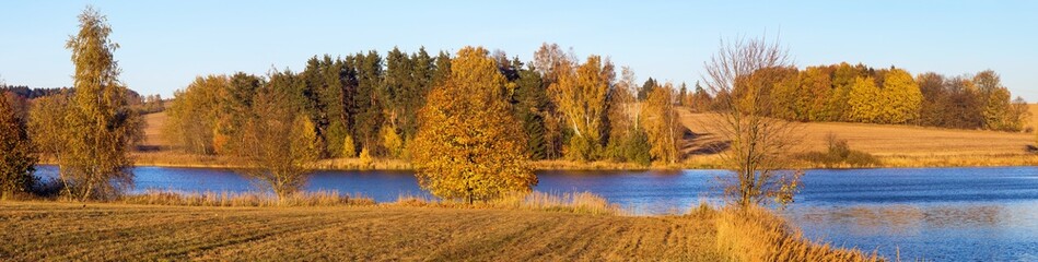 Fototapeta premium autumn view of pond and colorful autumnal forest