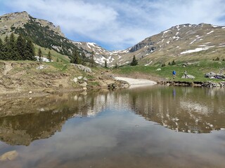 Alpine meadow in the mountains - springtime