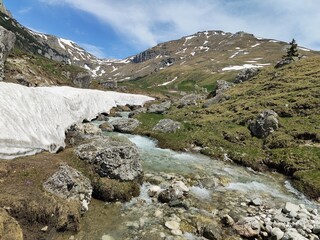 Obraz premium Alpine meadow in the mountains - springtime
