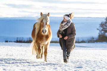 Cute equestrian and horse friendship scene: A young teenage girl interacting with her haflinger...