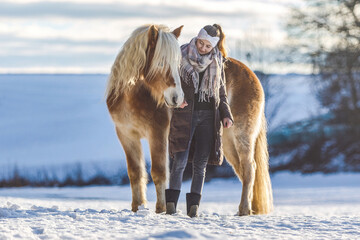 Cute equestrian and horse friendship scene: A young teenage girl interacting with her haflinger...