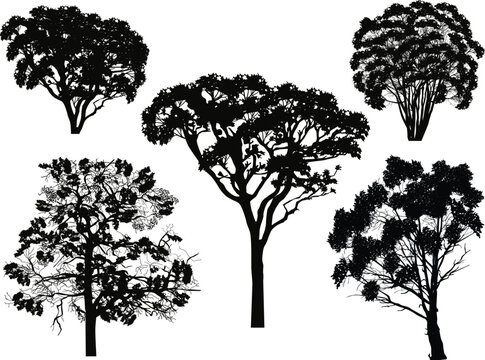 different trees five silhouettes isolated on white